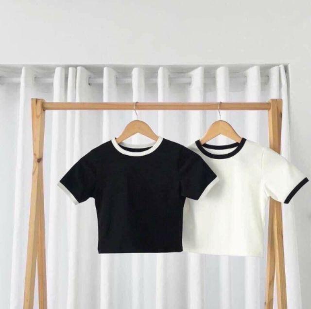 Áo cộc tay viền đen trắng croptop kiểu dáng body