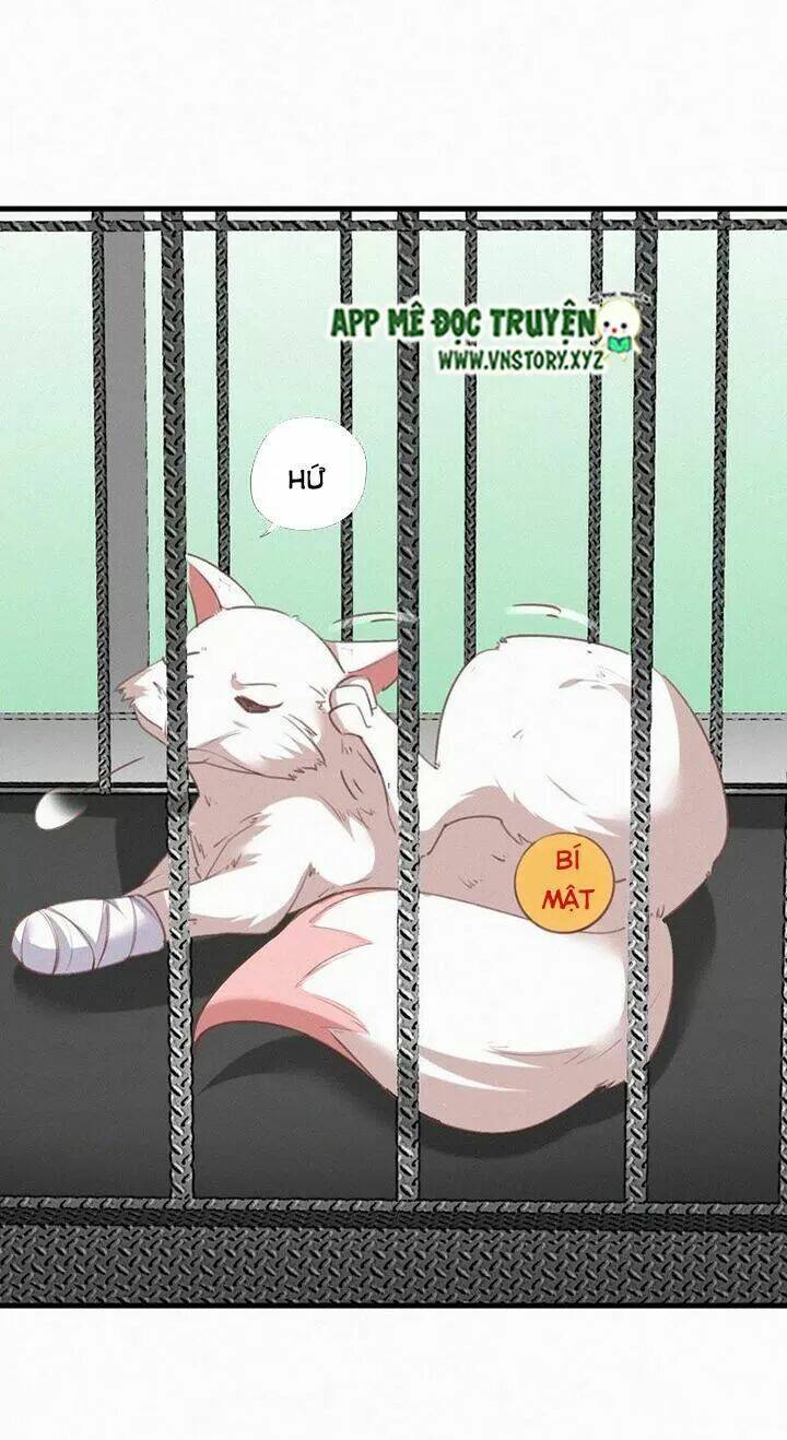 thiên hương mỹ nhân chapter 83 24