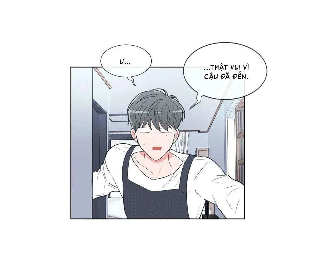 anti p.t chapter 33 7