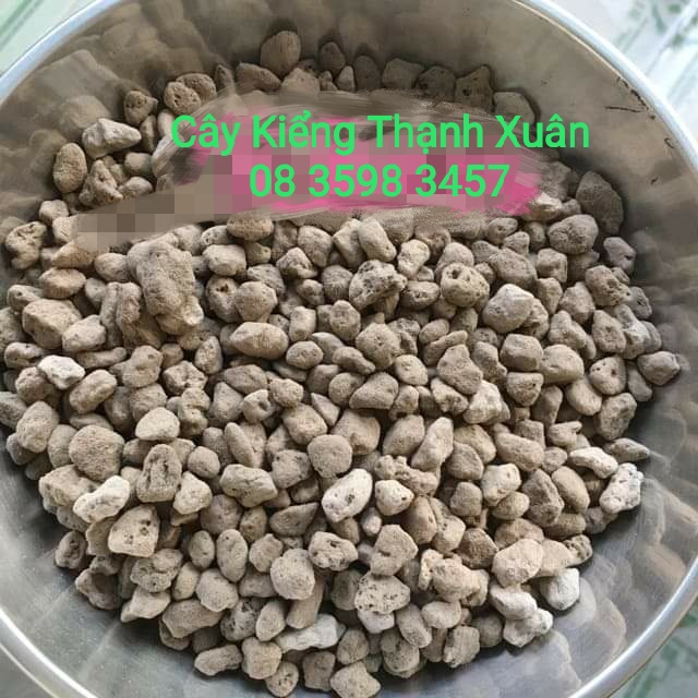Đá Pumice giúp đất thoát nước tốt, thích hợp trồng sen đá, Xương rồng, Địa Lan, Phong Lan  size 5-8mm