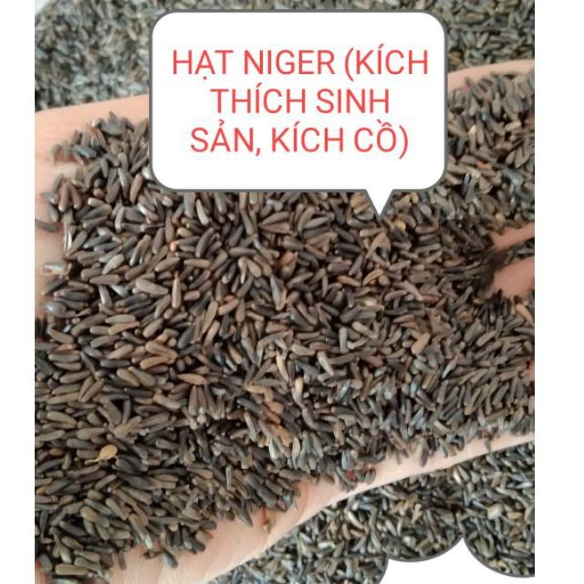 500g HẠT NIGER (KÍ.CH TH.ÍCH SI.NH SẢN, KÍ.CH C.Ồ) CHO CHIM VẸT