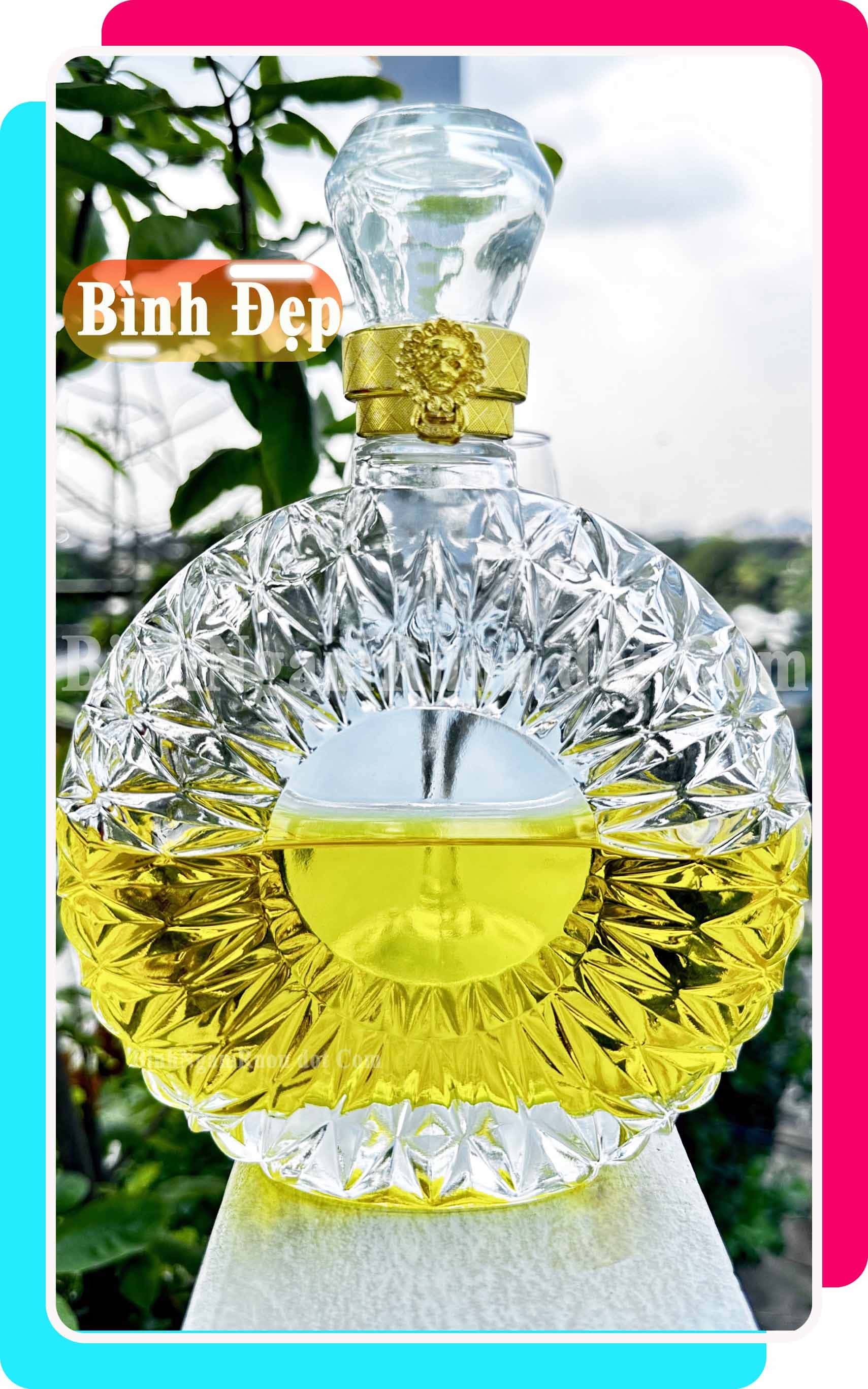 C13 Chai Đựng Rượu Thủy Tinh Đẹp Cao Cấp - 500ml - Nắp Kín Thủy Tinh Trong - Tặng Biếu Sang Trọng