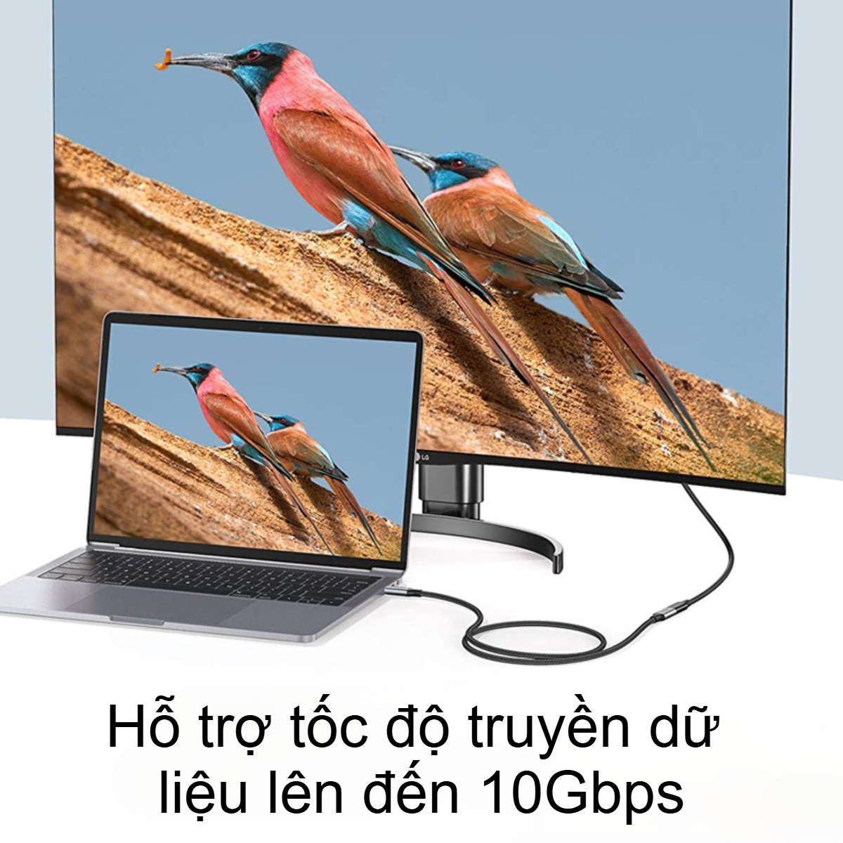 Cáp sạc nhanh nối dài Type-C 100W Choetech XCC-1039 hỗ trợ truyền tải dữ liệu 4K@60Hz (Hàng chính hãng)