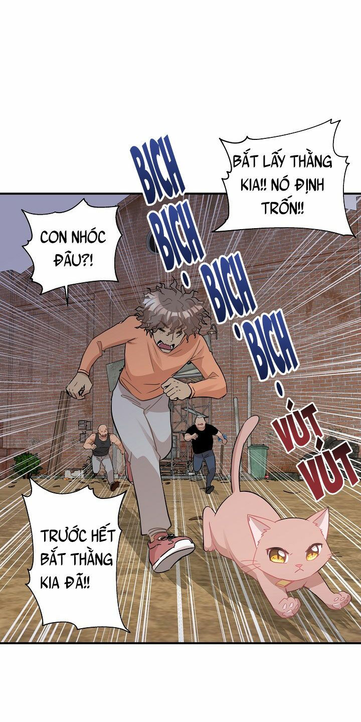 cuộc sống kỳ thú chapter 26 29