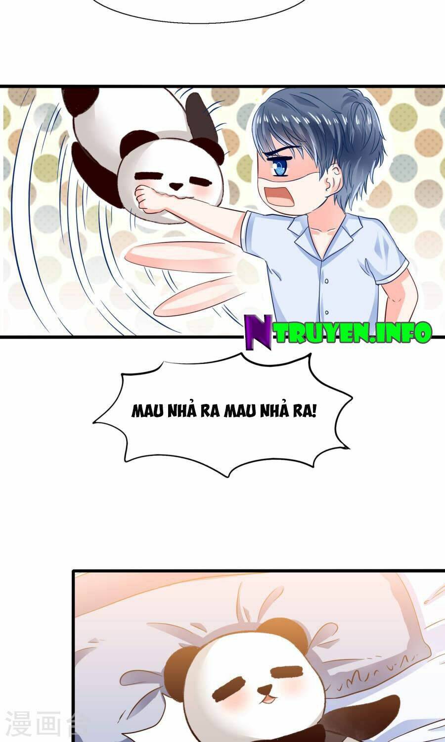 tôi bị gấu trúc nhìn trúng rồi chapter 8 8