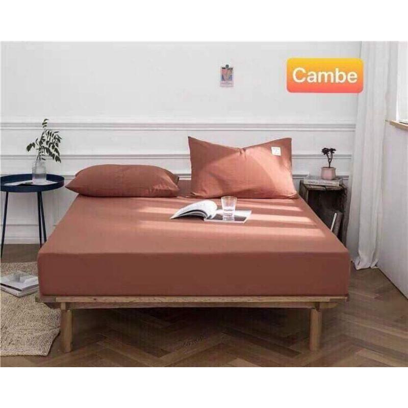 Sét ga gối cotton phong cách hàn Quốc
