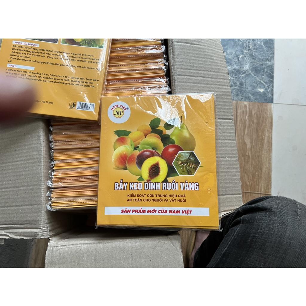 Combo 10 Miếng Dính Ruồi Vàng Hiệu Quả Cực Cao