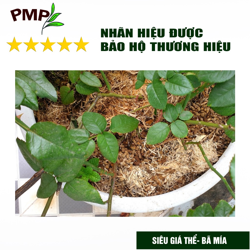 Giá Thể Trồng Cây PMP Siêu Giá Thể Bã Mía SUMI, Chuyên Dụng Cho Trồng Hoa Hồng, Hoa Lan, Rau Sạch (500g - 4dm3)