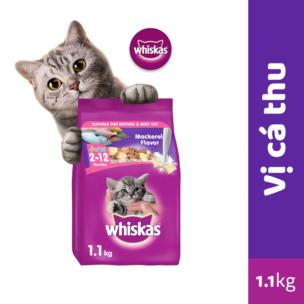 Bộ 2 túi thức ăn WHISKAS cho mèo con dạng hạt 1.1kg (2 túi)