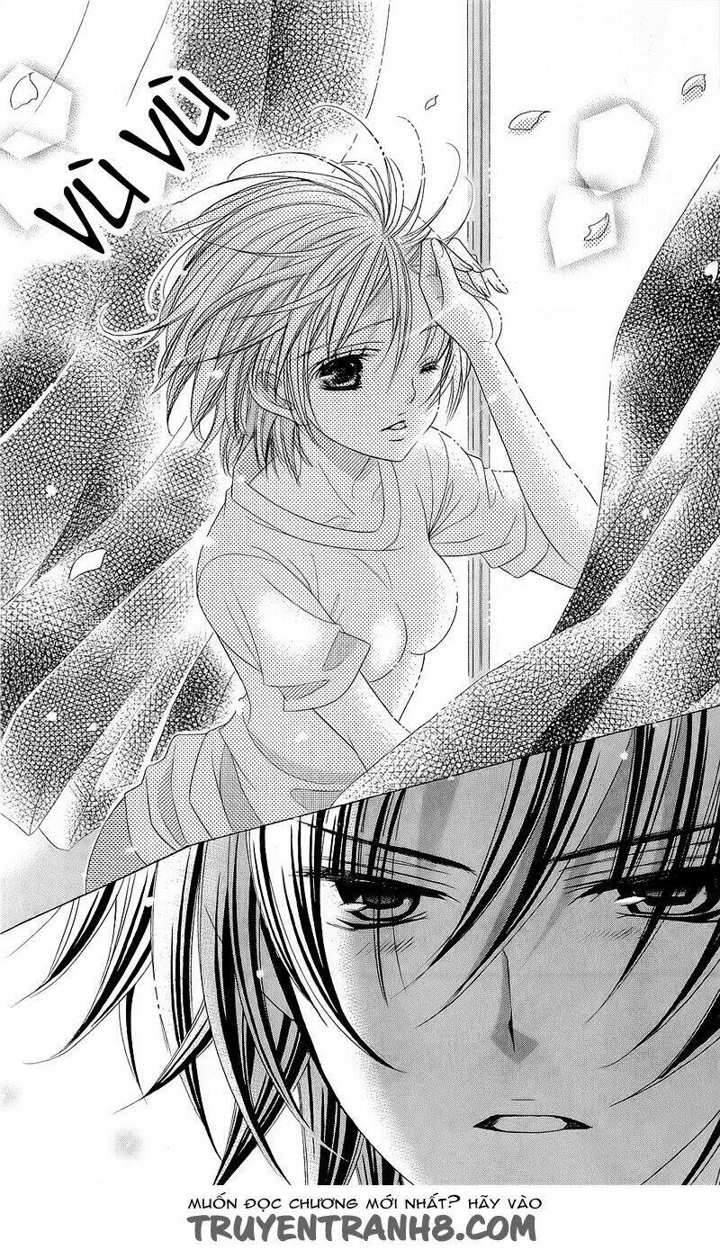 suki desu suzuki-kun!! chapter 53 13