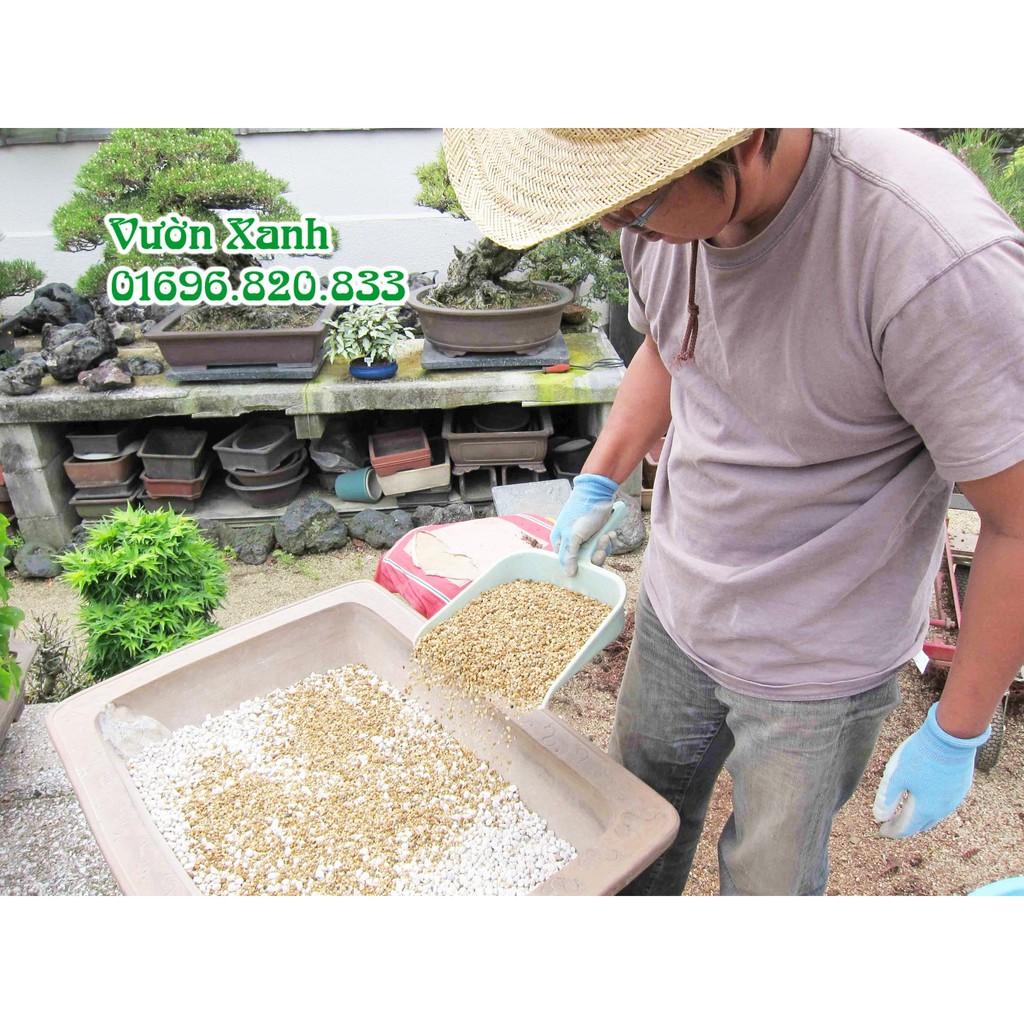 Đá bọt Pumice nhẹ, thoáng, giữ ẩm rất tốt 1kg