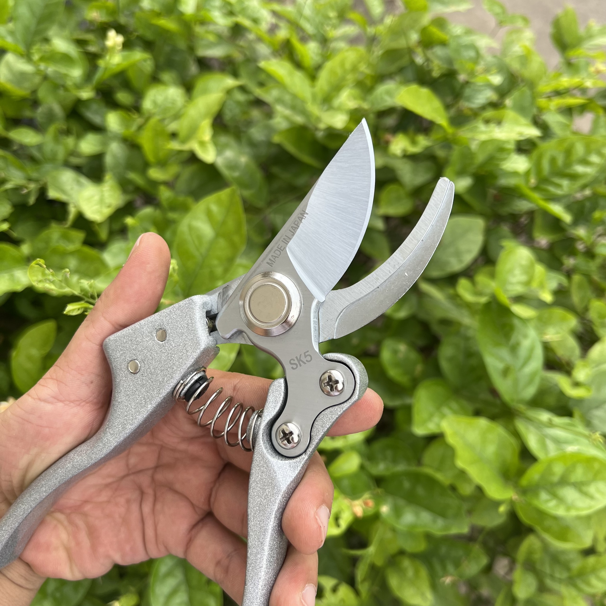 Kéo Cắt Cành Cộng Lực Nhật Bản, Thép SK5