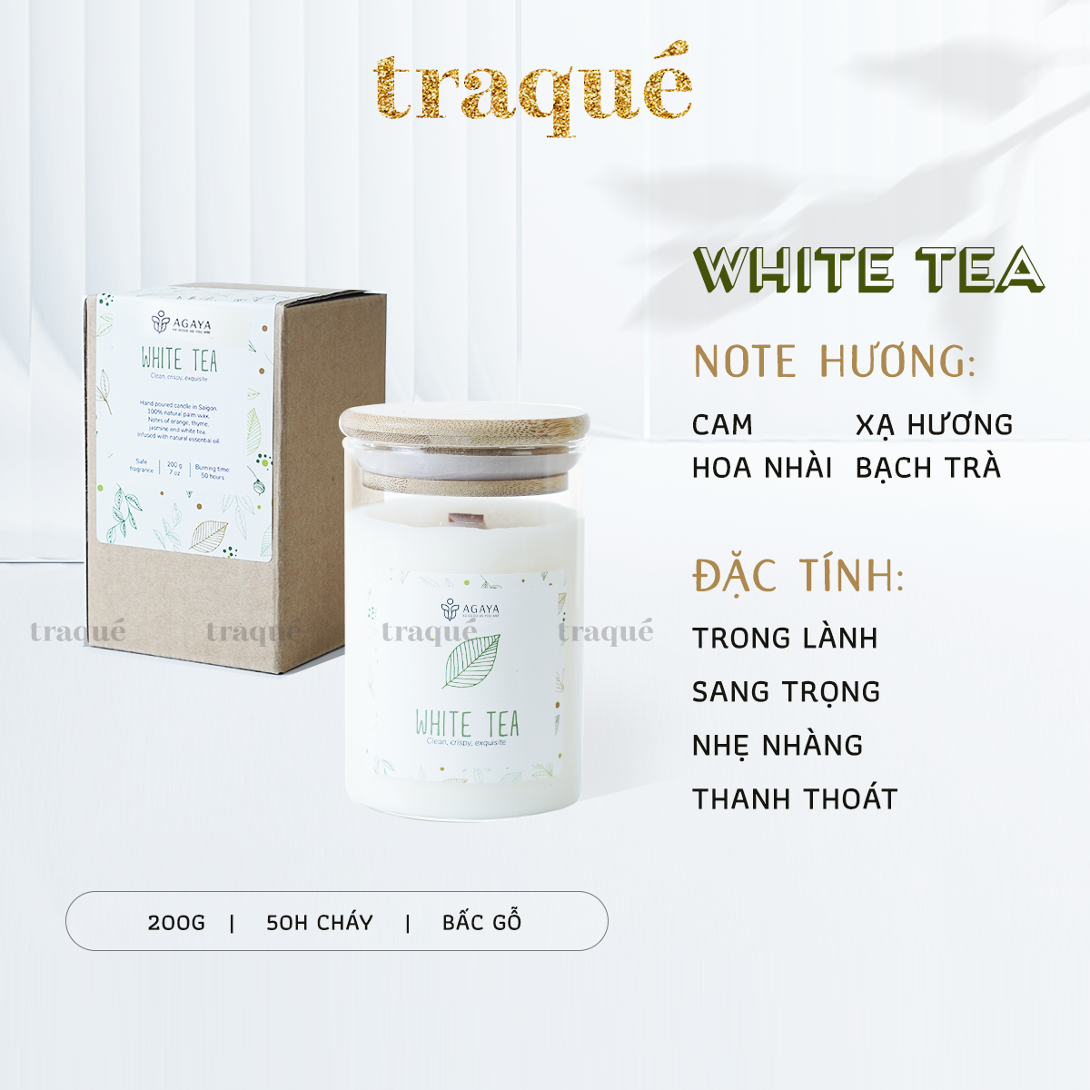 Nến thơm Candle Cup/Agaya - Hương Hoa WHITE TEA