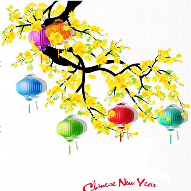 Decal trang trí Tết - Cành Mai Vàng lồng đèn kèm chữ