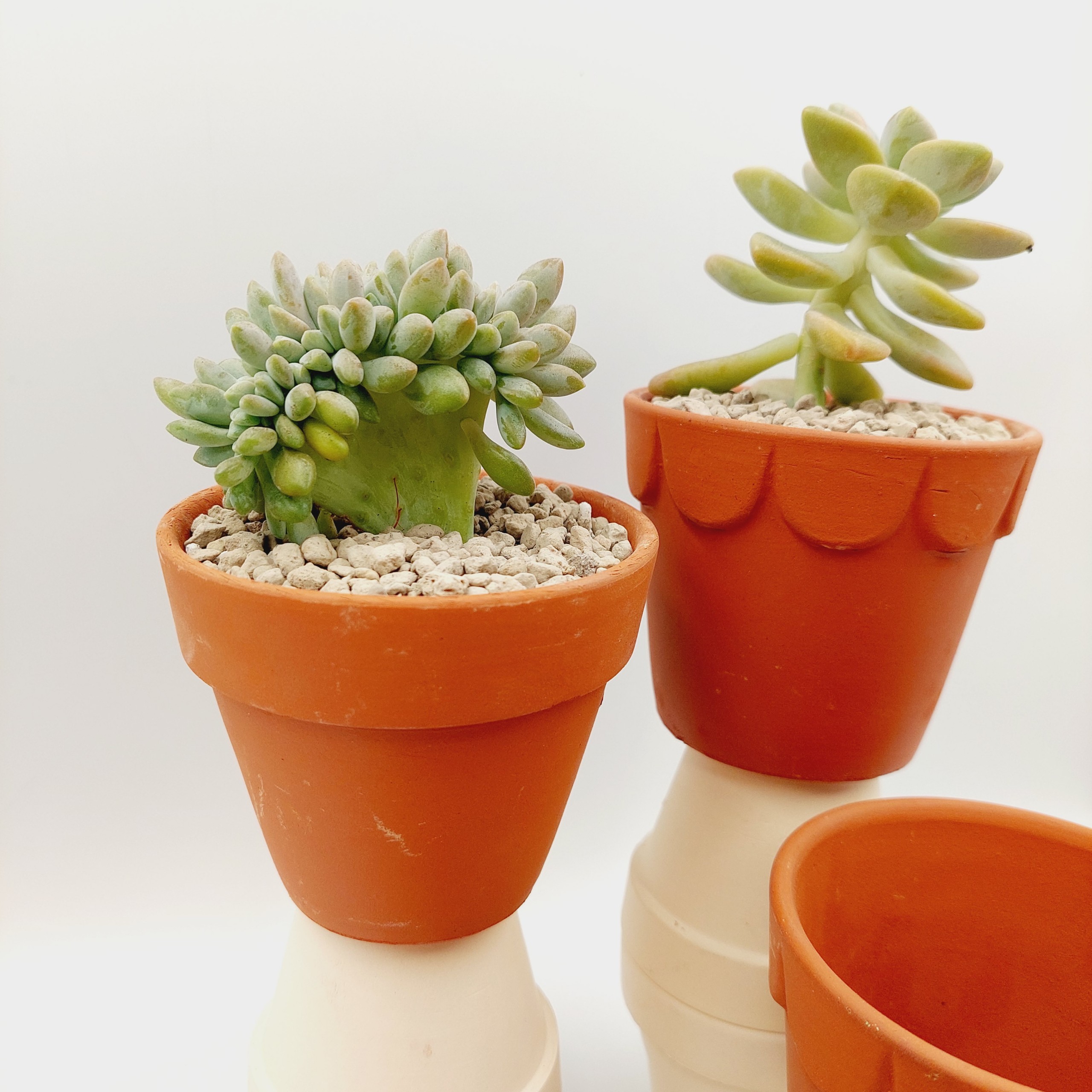 Chậu đất nung, chậu sen đá - Ly gờ 98, miệng chậu 9cm, chiều cao 8cm