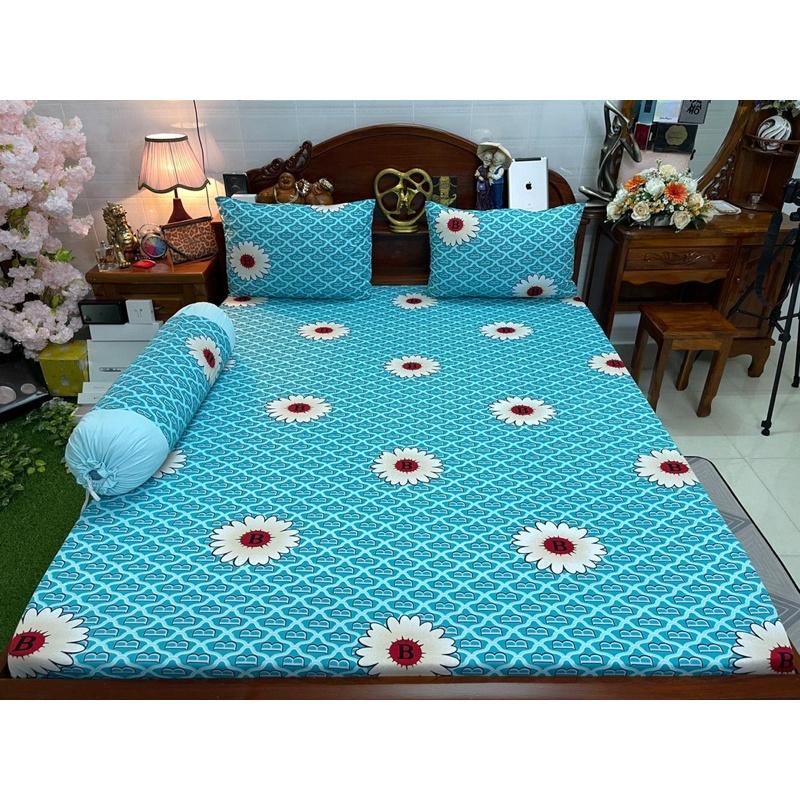 Drap thun hàn quốc