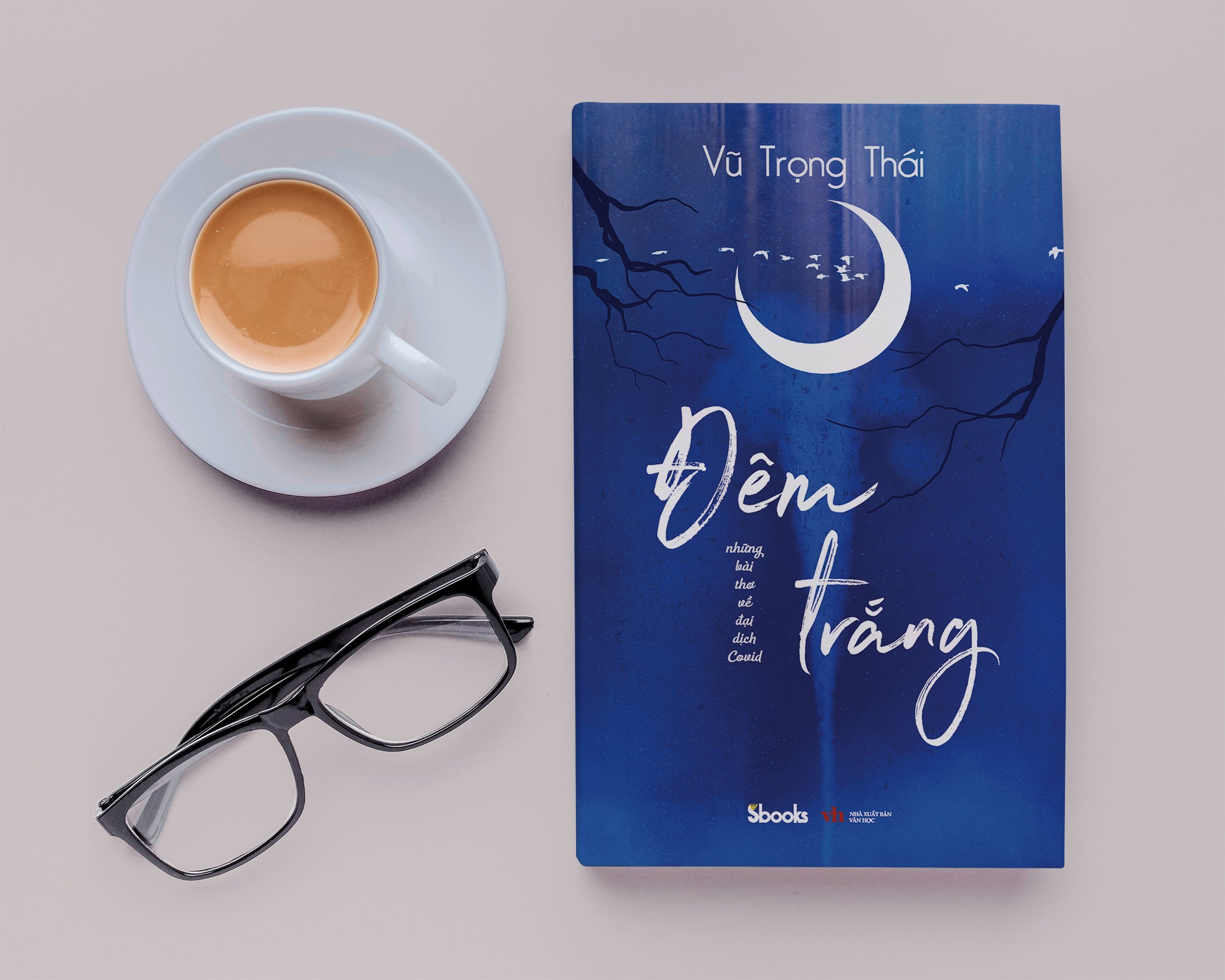 NHỮNG BÀI THƠ VỀ ĐẠI DỊCH COVID - ĐÊM TRẮNG