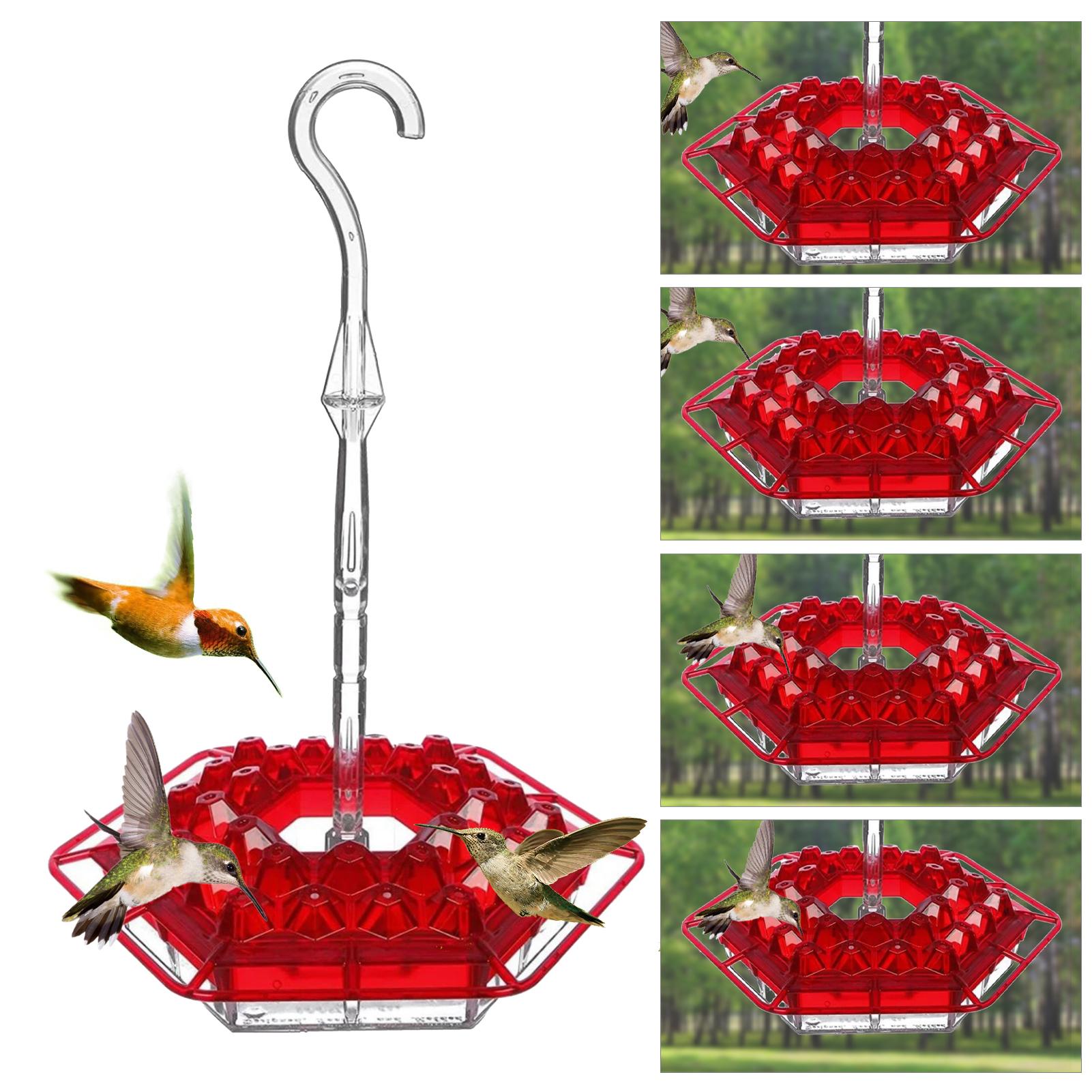 Ống thức ăn cho chim ruồi