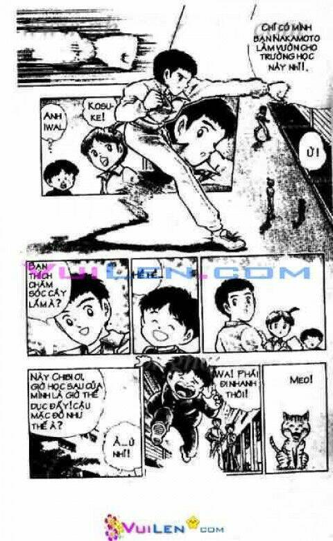 chibi cậu bé quyền anh (8 tập full) chapter 1 13