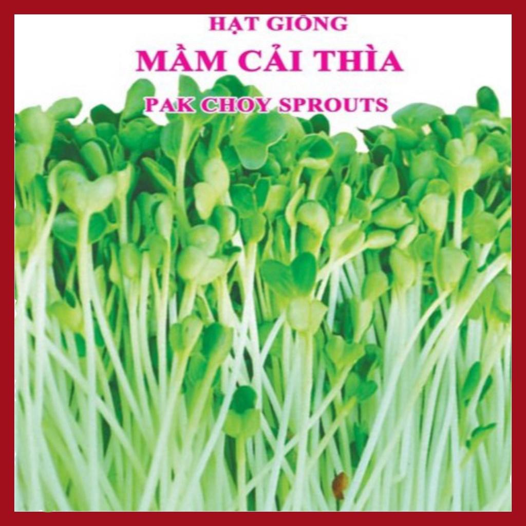 Hạt giống rau mầm cải thìa - Sản phẩm hoàn hảo cho bạn trồng rau mầm tại nhà