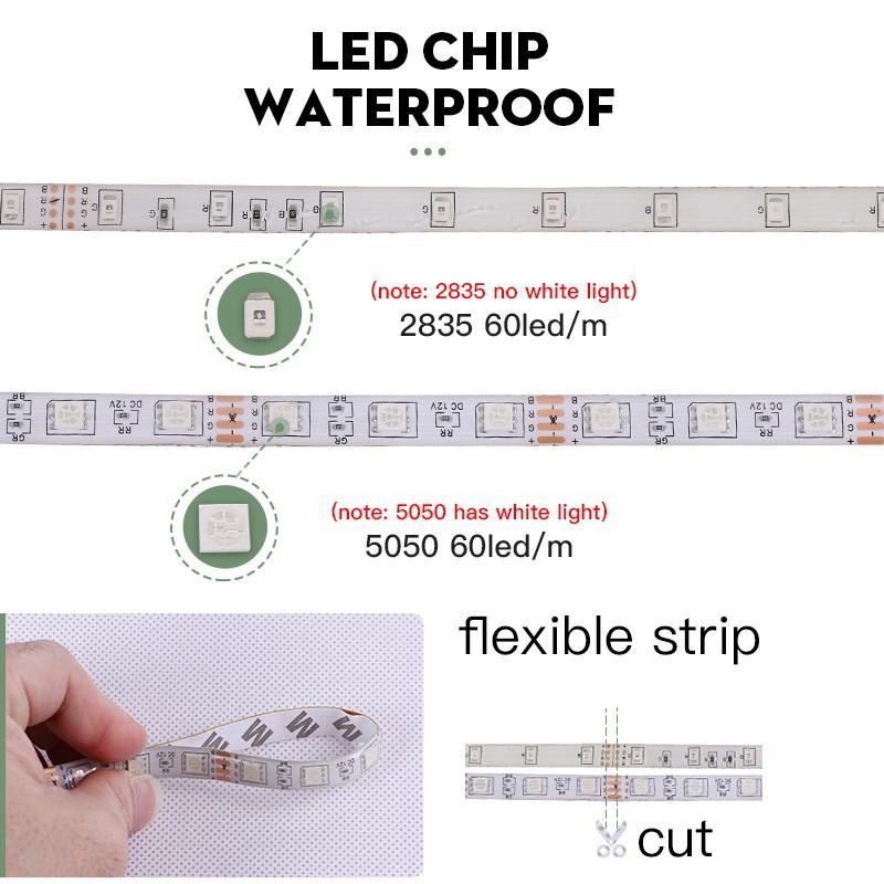 Dây Đèn Led 5m Rgb Smd2835 12v Chống Thấm Nước Dùng Để Trang Trí