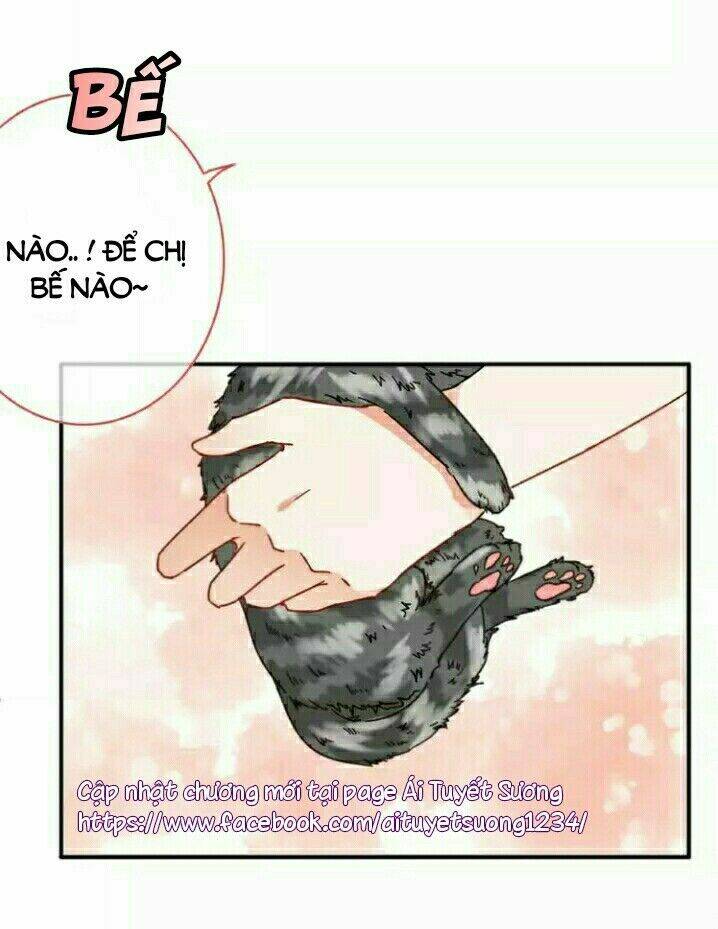 thập quang mật ngữ chapter 5 13