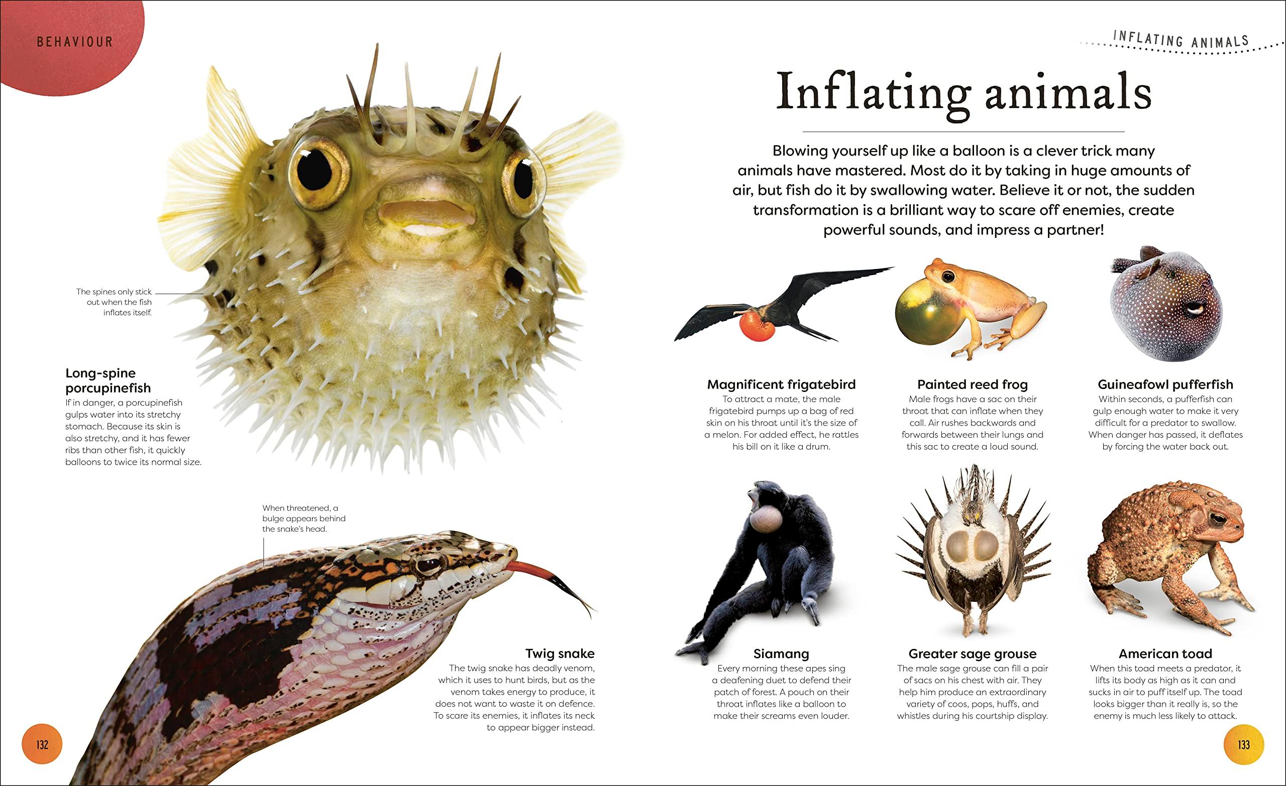Sách ngoại văn: Weird And Wonderful Nature -Tales Of More Than 100 Unique Animals, Plants, And Phenomena