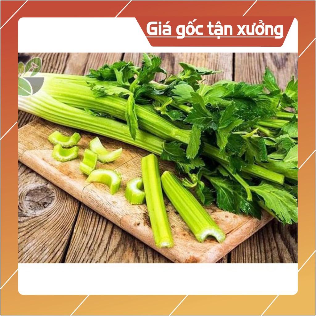 10gr Hạt Giống Rau Cần Tây Xanh Chịu Nhiệt, Năng Suất