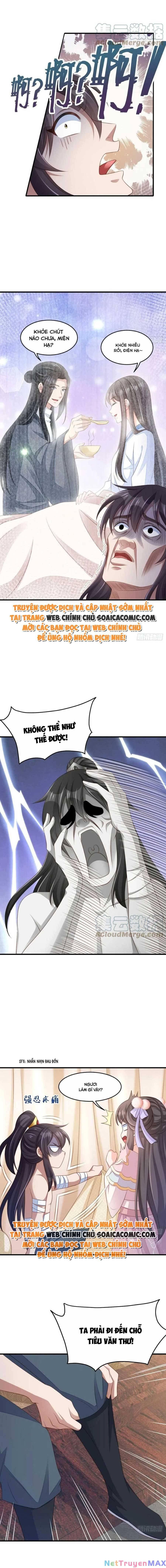 thuần hóa ba ba bạo quân chapter 63 3