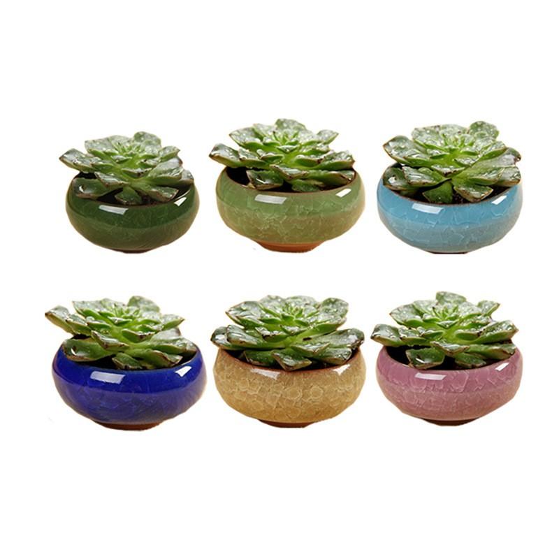 Chậu trồng cây gốm sứ mini cao cấp, chậu cây mini men rạn phủ bóng, trồng sen đá, xương rồng cẩm nhung để bàn