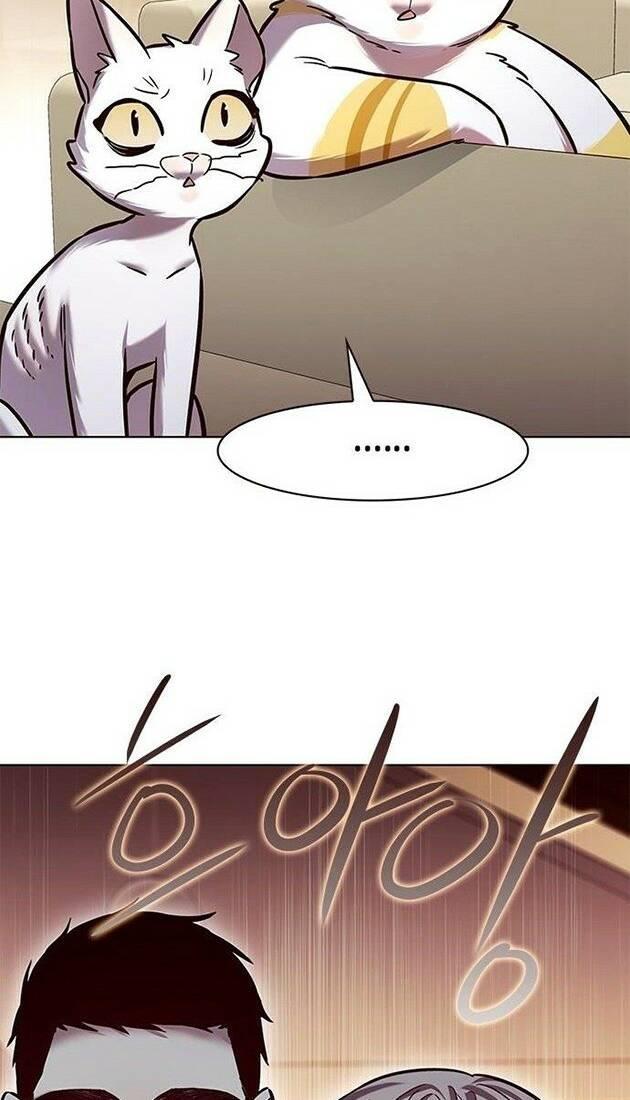 biến thân thành mèo chapter 226 77