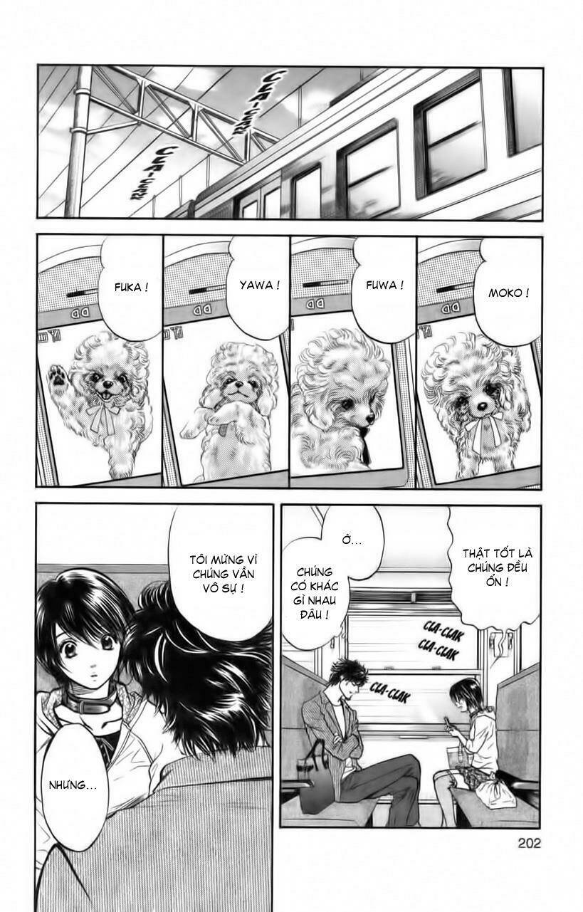 cô nàng yêu chó chapter 30 17