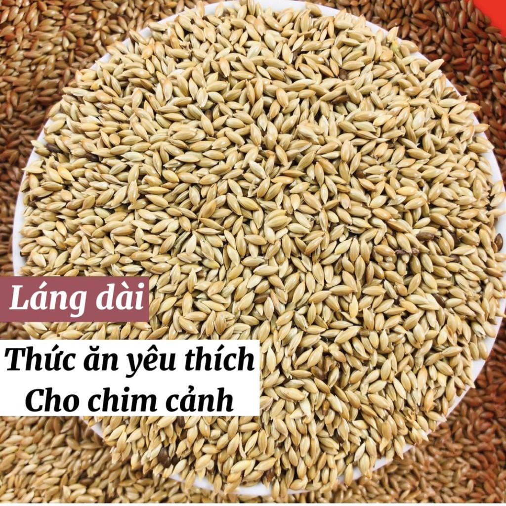 Hạt láng dài, thức ăn cho chim yến phụng, vẹt, bảy màu, manh manh, finsh