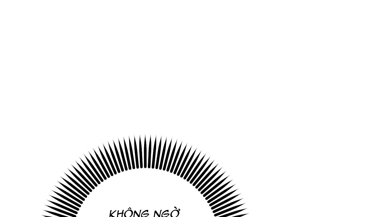 những chú thỏ của hapypy chapter 49 37