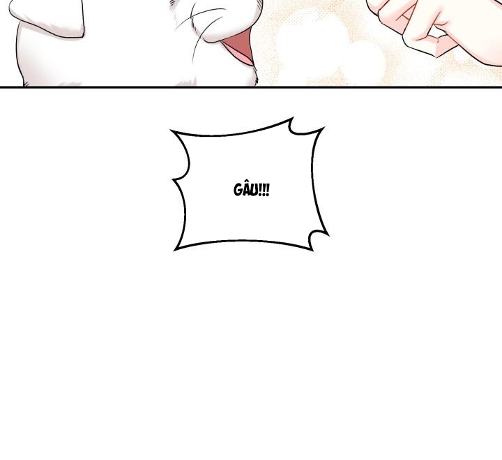 xác suất tình yêu chapter 62 28