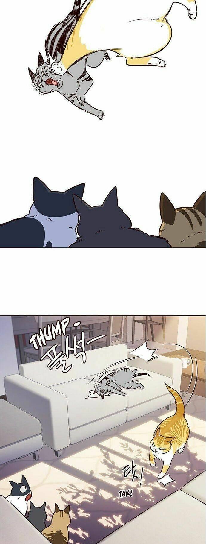 biến thân thành mèo chapter 7 44
