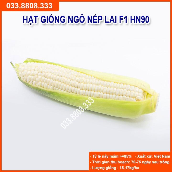 Hạt Giống Ngô Nếp Lai HN90 Năng Suất Cao 500gram
