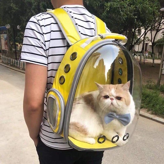 Balo nhựa trong cho mèo dưới 7kg