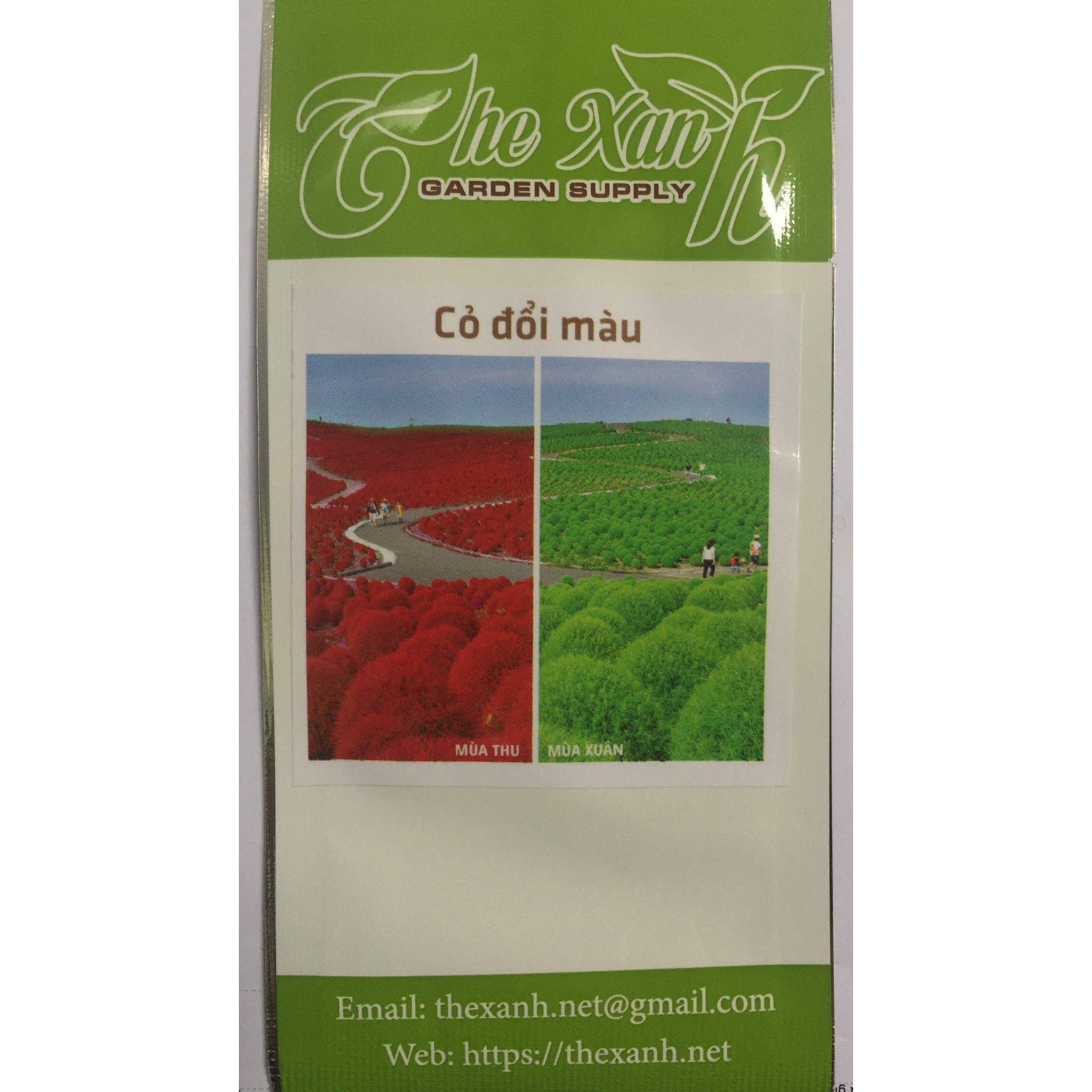 Bộ 1 gói Hạt giống cỏ đổi màu - The Xanh-50 hạt