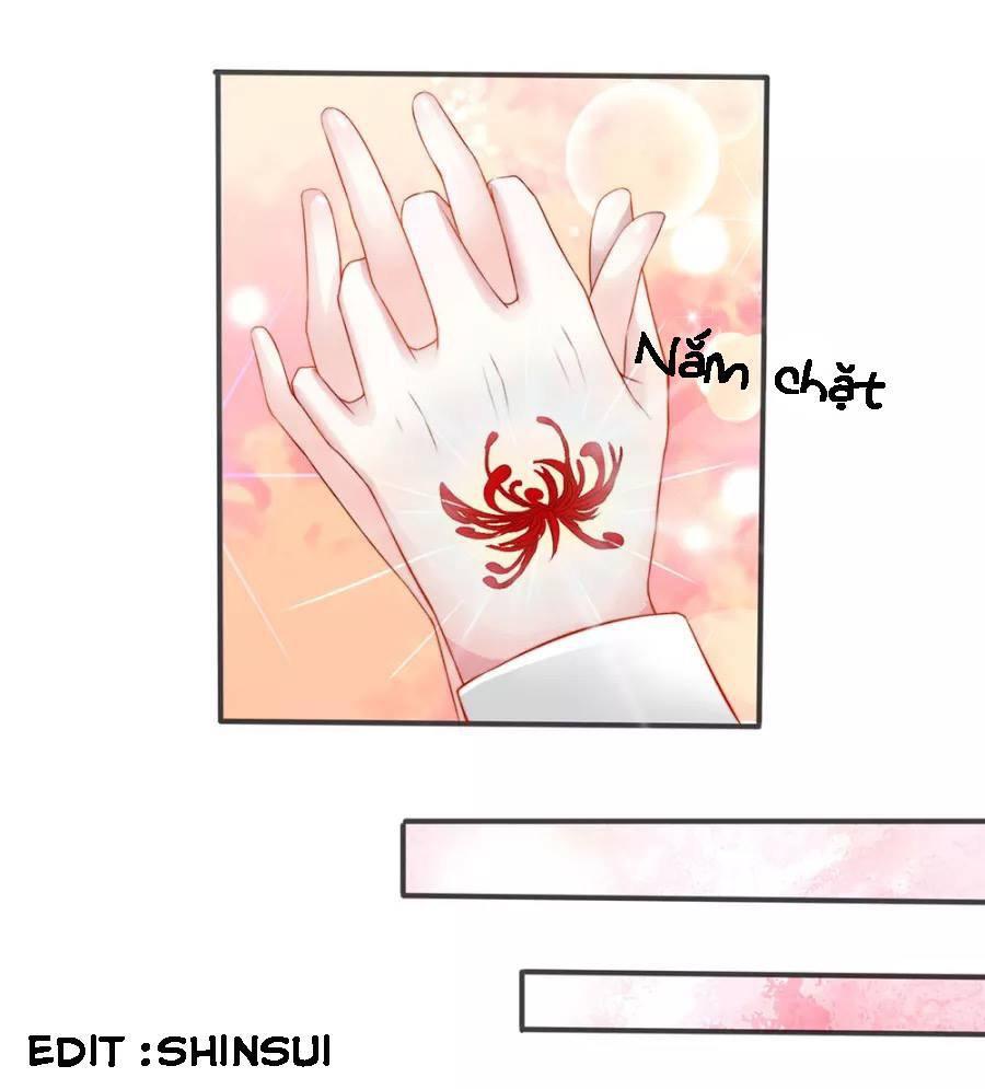 tuyệt sủng kiều thê của minh vương chapter 2 12