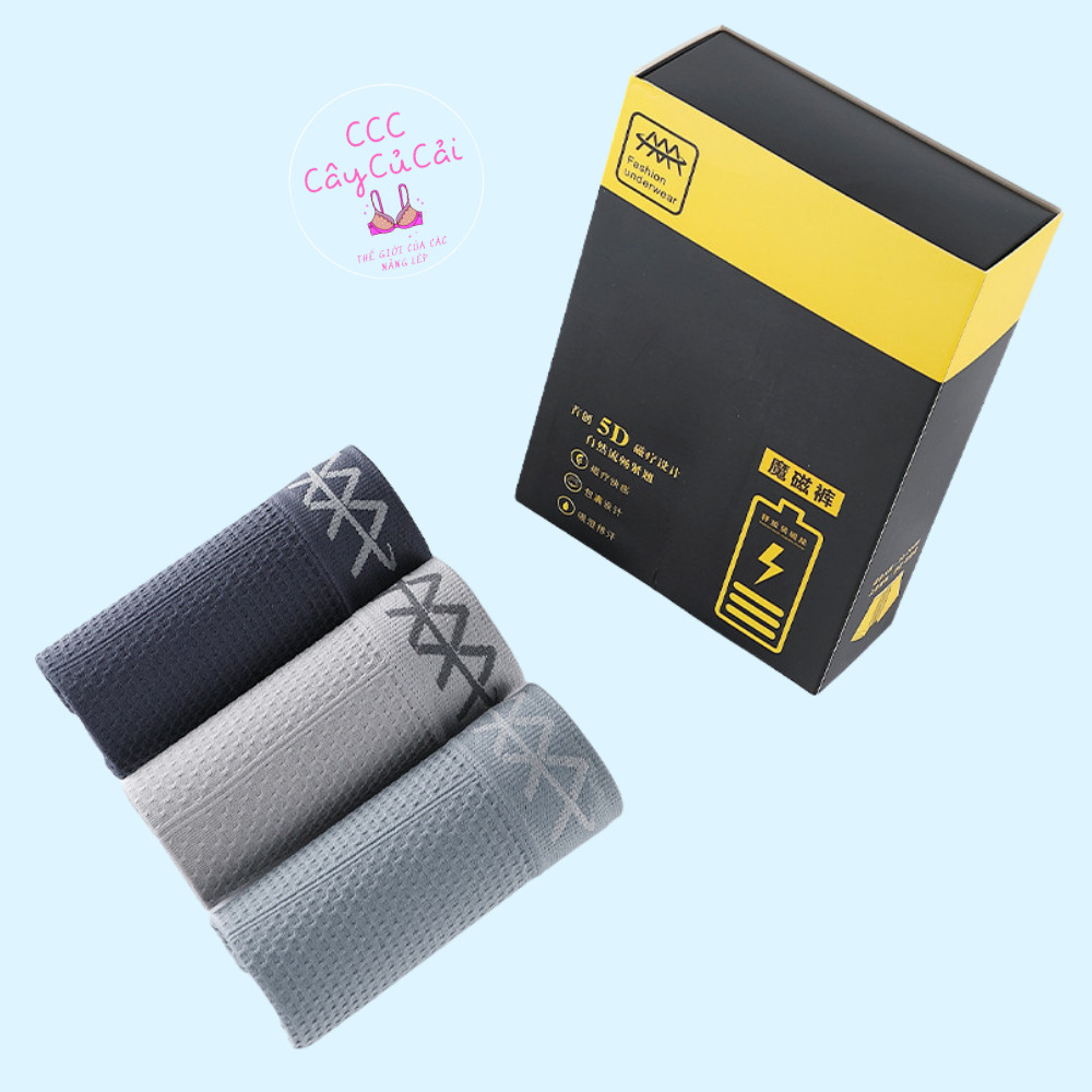 Hộp 3 Quần Sịp Đùi Nam AAA - Quần Sịp Đùi Nam Sợi Nano Kháng Khuẩn Thoáng Mát Thấm Hút Mồ Hôi Freesize dưới 70kg CCC168