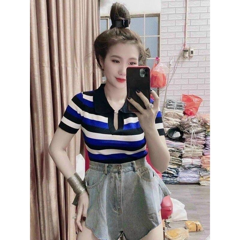 Áo len nữ cộc tay cổ bẻ kẻ ngang 3 màu