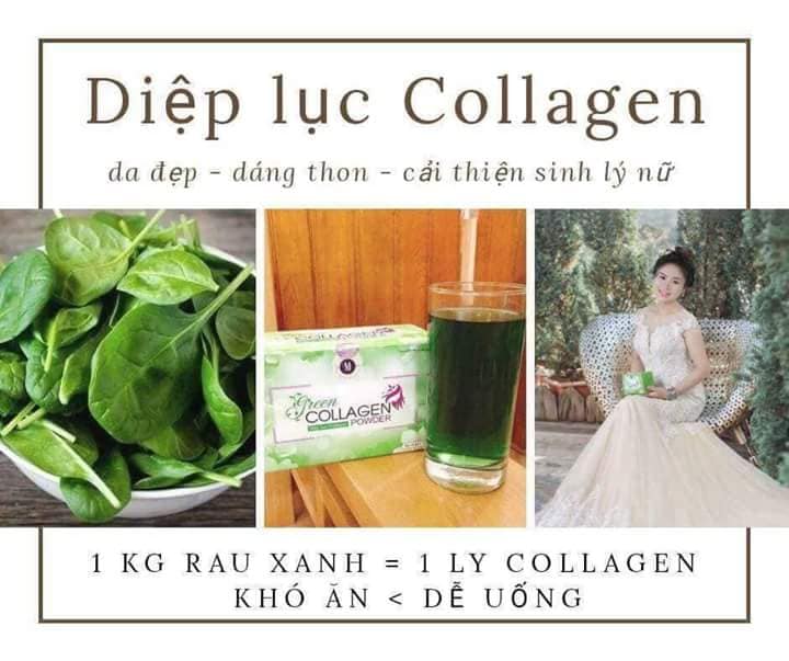 Thực Phẩm Bảo Vệ Sức Khỏe Diệp lục Collagen (Green Collagen Powder) + Tặng kèm Vòng Phong Thủy - đẹp da, chống lão hóa, cân bằng nội tiết