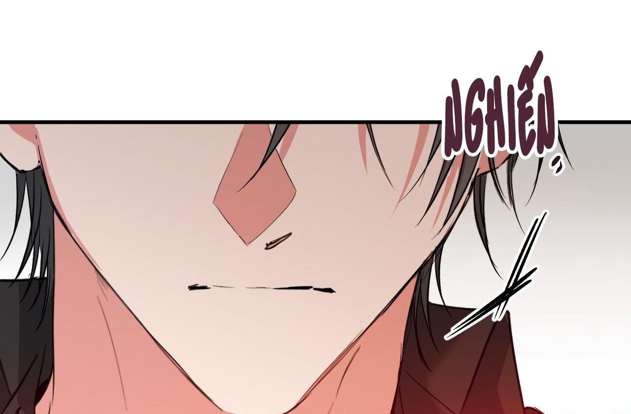 những chú thỏ của hapypy chapter 61 120