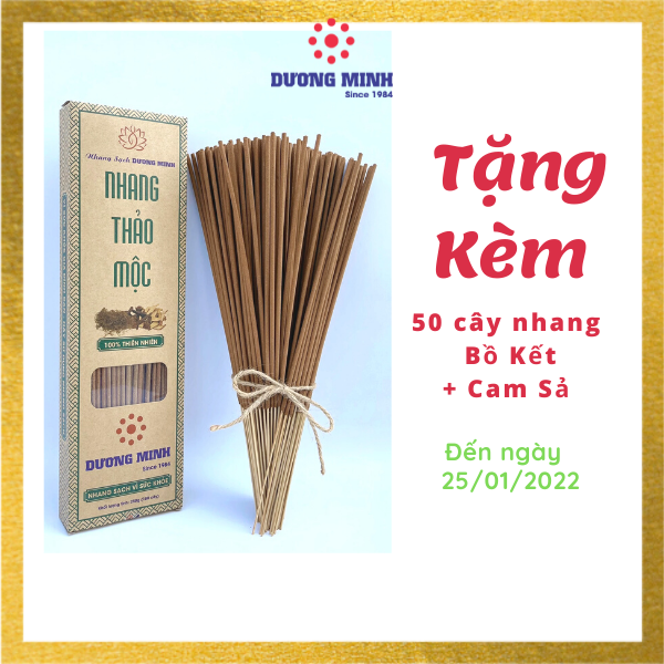 Nhang thơm hương tết xưa - Nhang Thảo Mộc Dương Minh 180cây 30cm nhang sạch 100% thành phần tự nhiên từ các loại thảo dược