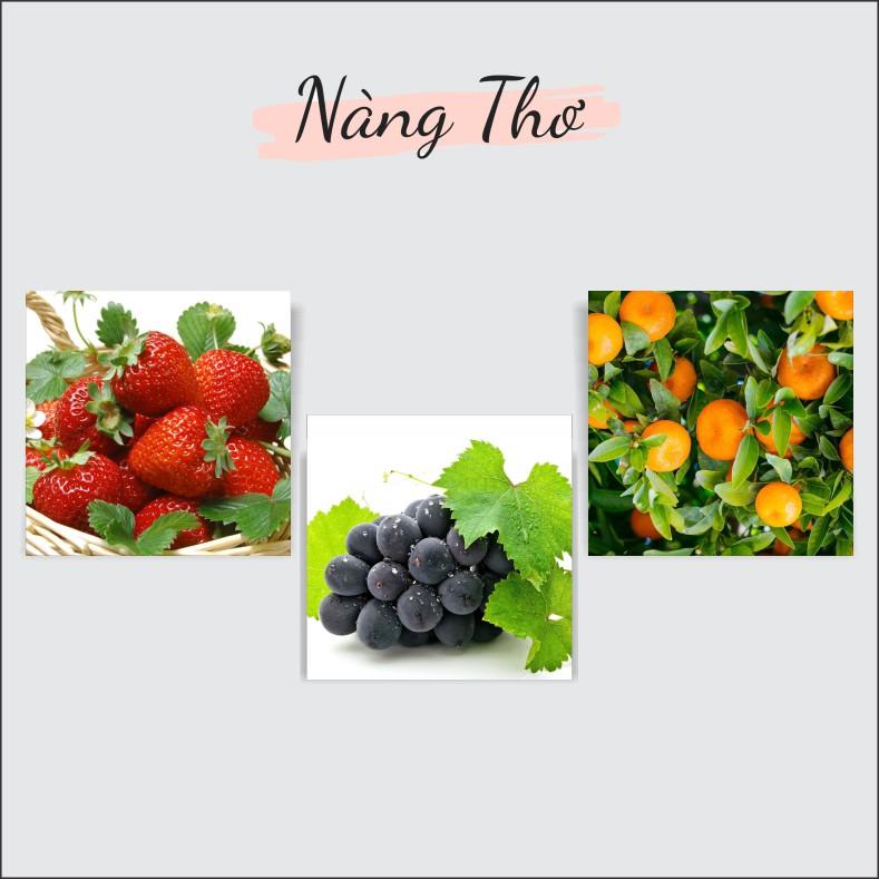 Bộ tranh 3 tấm dày 5mm_tặng sẵn keo dán