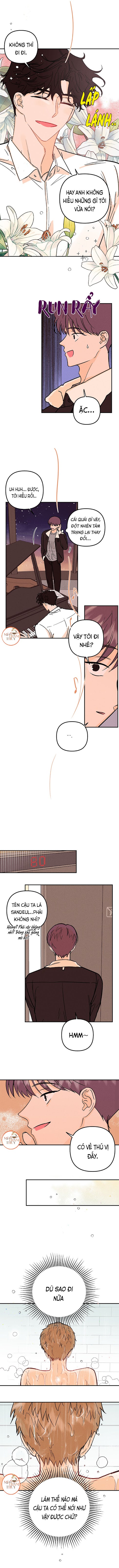 punk dunk funk chapter 22 5