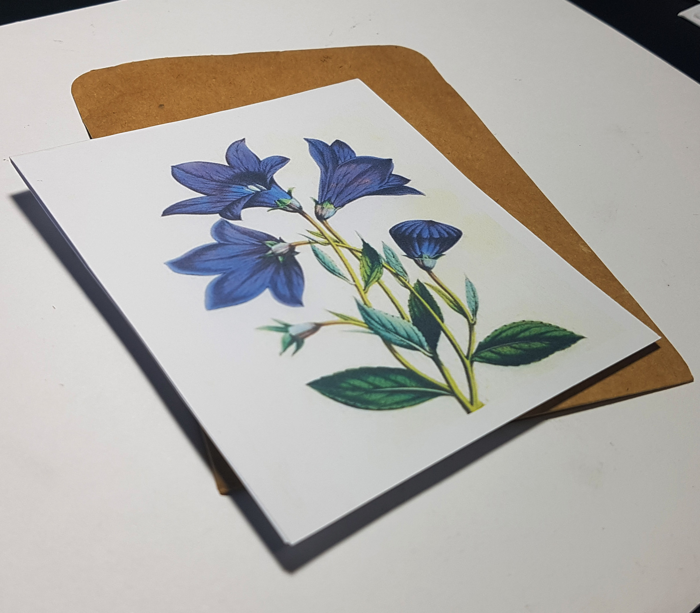 Thiệp phong cách Vintage card quà cám ơn ,chúc mừng sinh nhật và giử tặng người thân yêu.