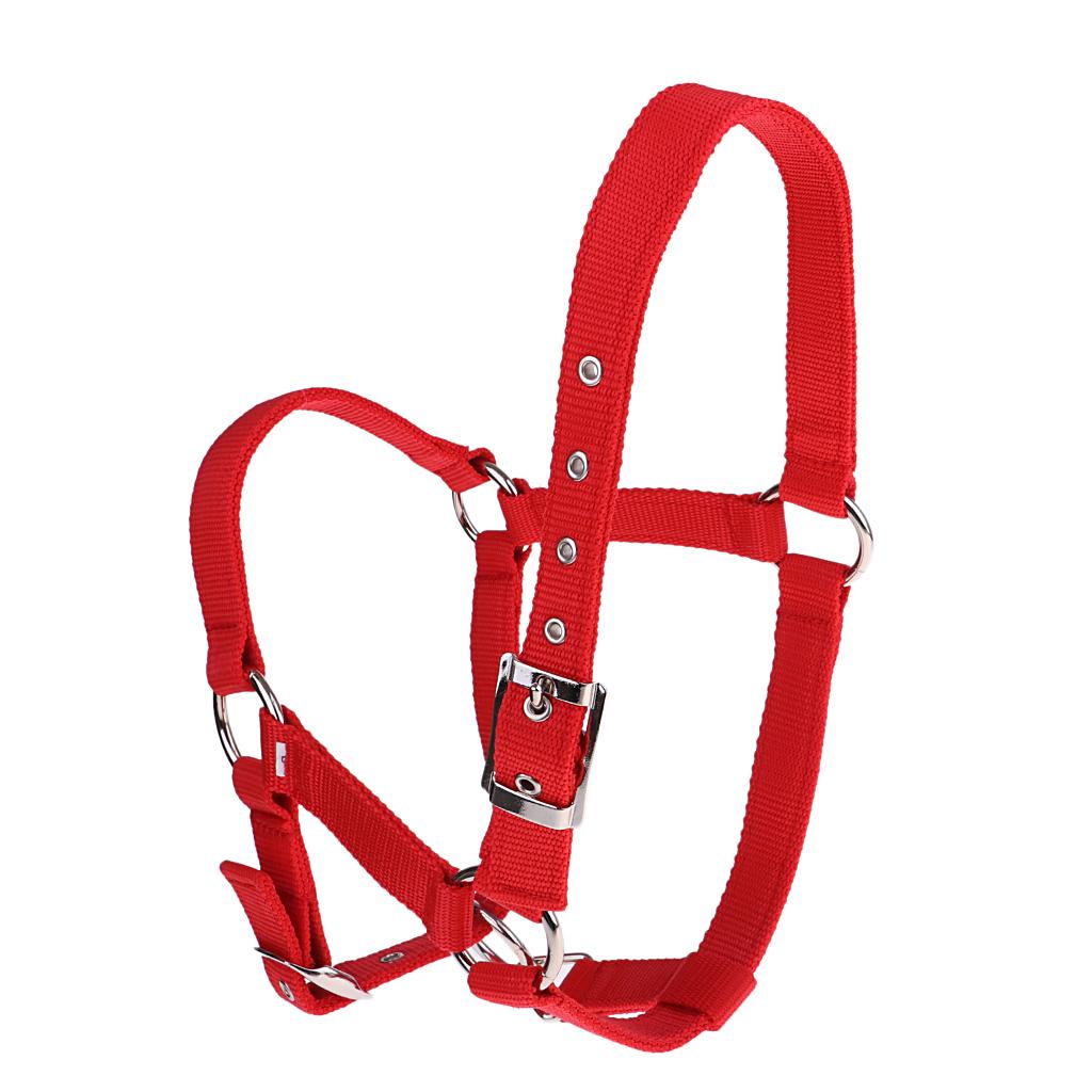 Adjustable Nylon Webbing Equestrian Western Horse Halter Horse Riding Wear Red S