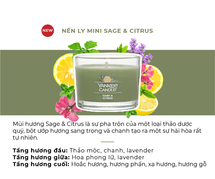 Nến ly mini Yankee Candle - Sage &amp; Citrus